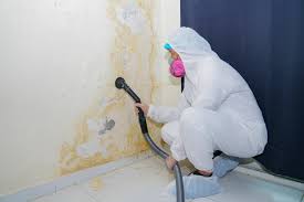 Best Mold Prevention Services  in Cockeysville, MD